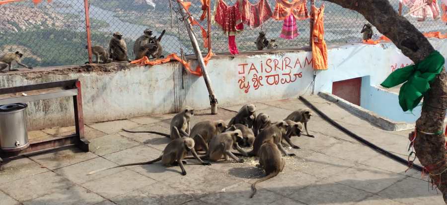 WhatsApp Image 2019-12-24 at 10.57.00 PM (2)