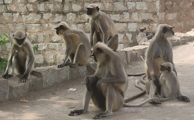 WhatsApp Image 2019-12-24 at 10.57.00 PM