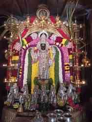 WhatsApp Image 2024-02-16 at 09.25.34