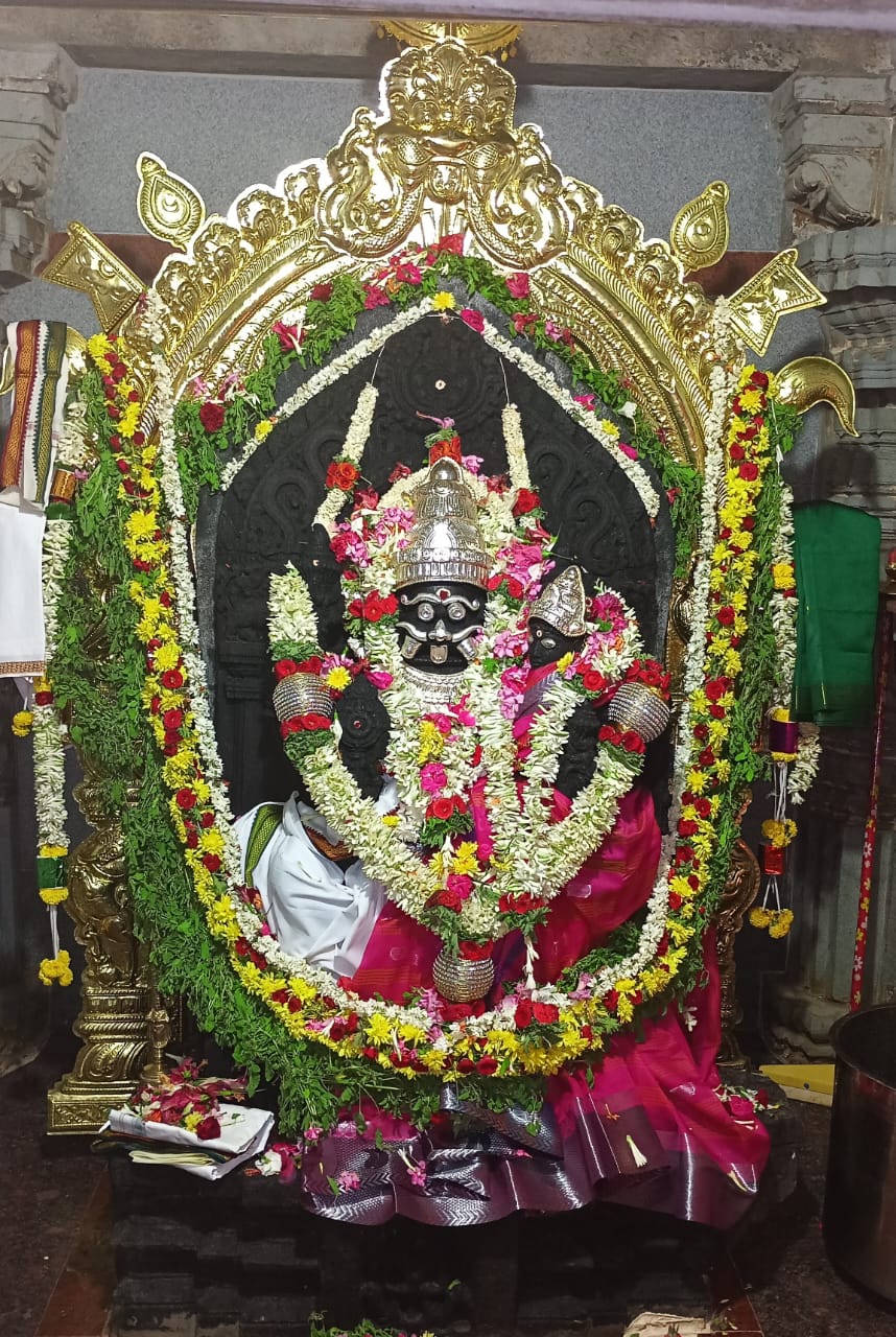 WhatsApp Image 2024-05-22 at 04.43.45