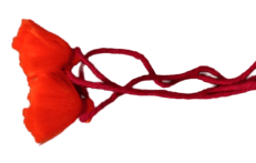 WhatsApp_Image_2020-08-02_at_12-removebg-preview