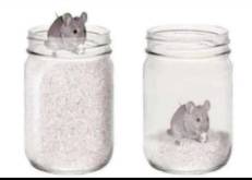 WhatsApp Image 2021-08-01 at 11.27.17 PM