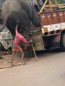 WhatsApp Image 2021-12-14 at 6.13.04 PM