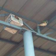 WhatsApp Image 2022-02-02 at 9.47.41 PM (2)