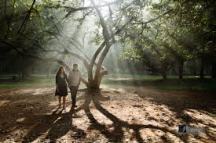 cubbon_park_Romance