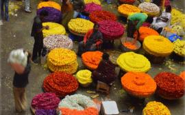 kr-market-bangalore-cropped-1615966961