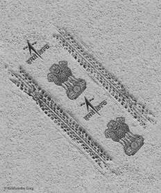 WhatsApp Image 2023-08-23 at 21.54.41