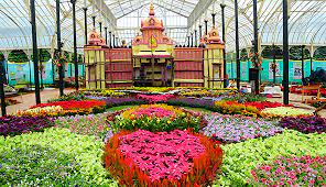 flower_show