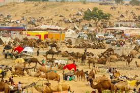 pushkar_mela
