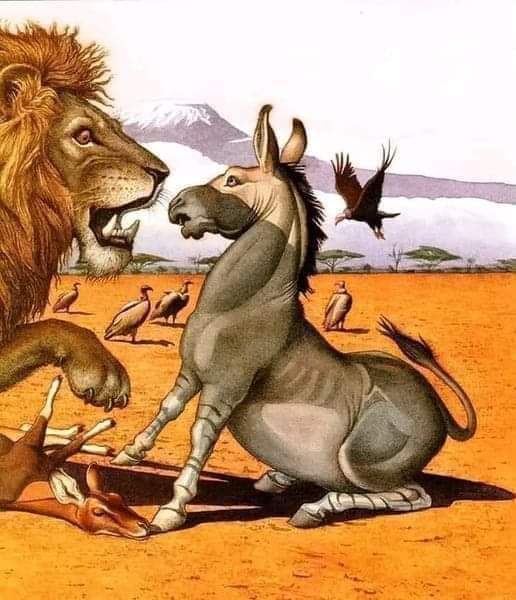 WhatsApp Image 2024-05-23 at 00.13.54