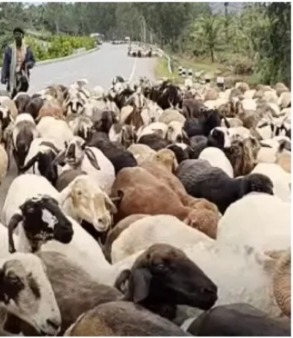 WhatsApp Image 2024-08-06 at 16.28.33