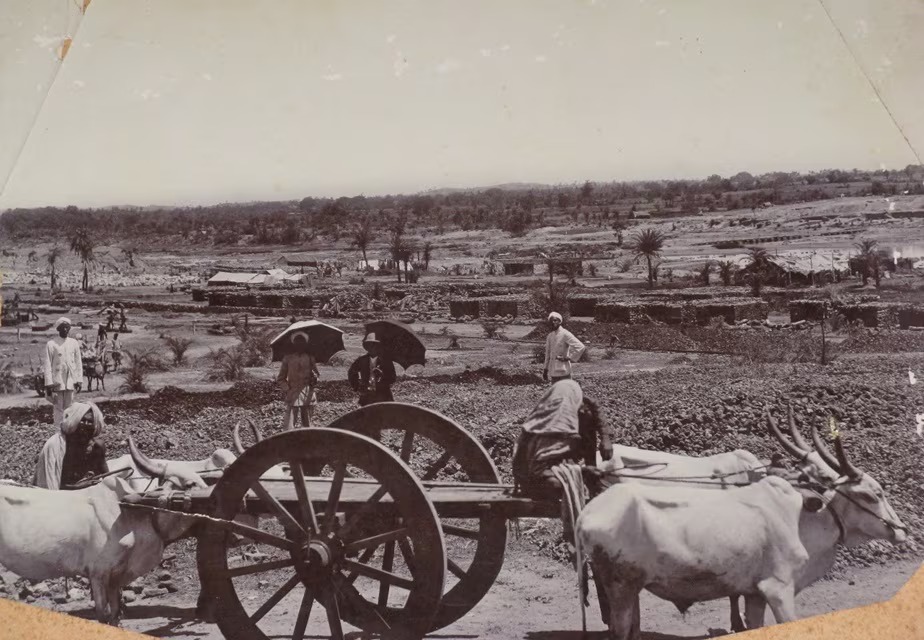 WhatsApp Image 2024-09-17 at 00.33.07