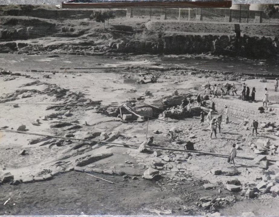 WhatsApp Image 2024-09-17 at 00.34.26