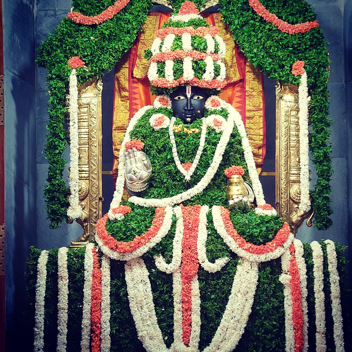 241094372_1132134507315495_8186314161861232546_n