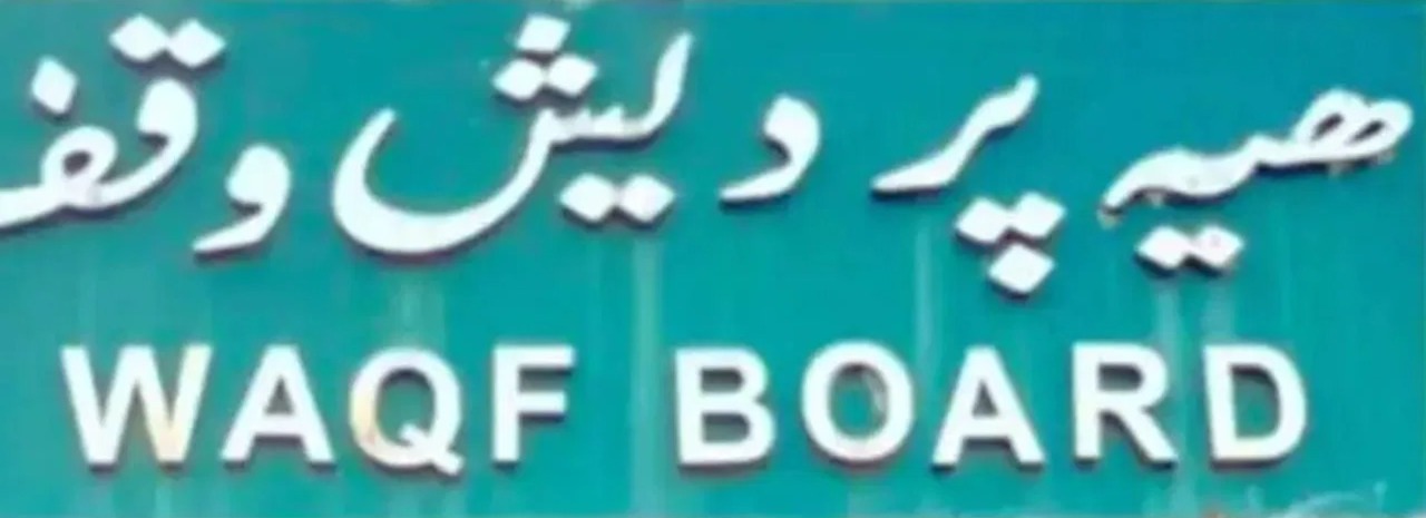 WhatsApp Image 2024-10-26 at 23.20.46