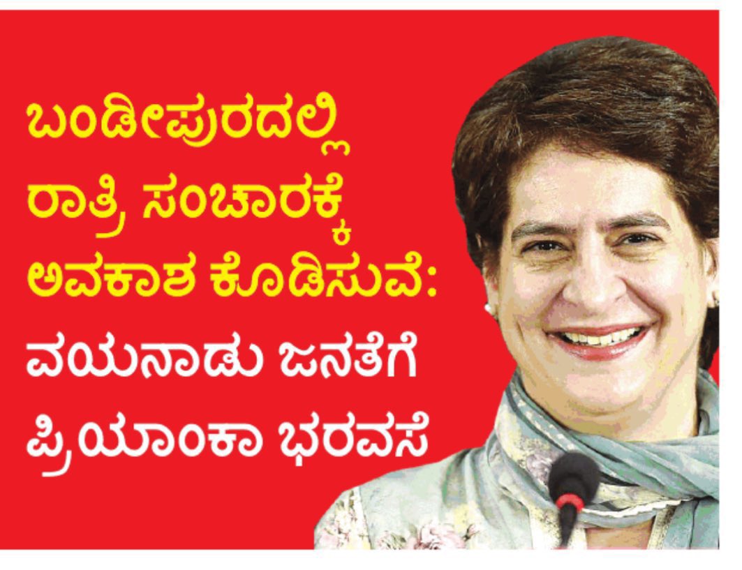 WhatsApp Image 2024-12-03 at 19.36.50